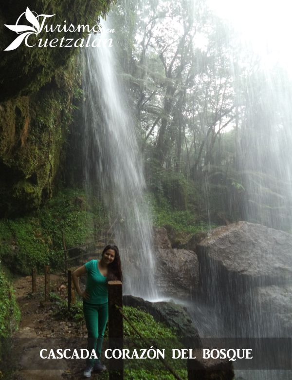 Cascada corazón del bosque